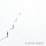  Little Robot