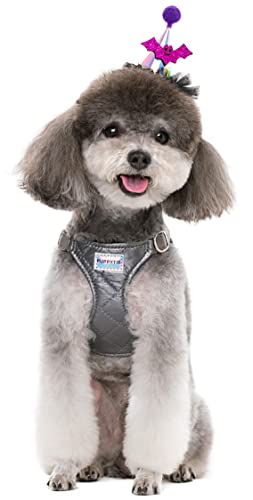 No Pull Small Dog Harness with Multifunction Dog Leash,Lightweight Soft Adjustable No Choke Escape Proof Pet Harness Vest Pet Harness Vest,Glossy Grey ,S