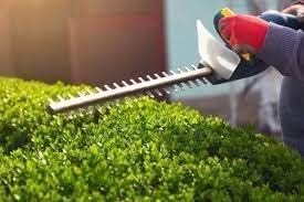 Image of Leo Electric Hedge Trimmer 550W Heavy Duty
