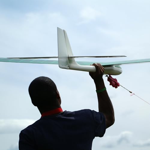 Champion of Something