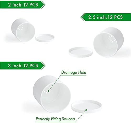 Miniatura 4 de D'vine Dev Paquete de 36 macetas de plástico (12 juegos de 2 pulgadas, 2.5 pulgadas, 3 pulgadas) macetas pequeñas para plantas con agujeros de