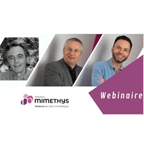 De l&rsquo;inceste au monde de l&rsquo;inceste. Comment rena&icirc;tre ? [Webinaire]