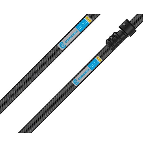 Abbacchiatore elettrico a batteria Campagnola Icarus 58V - Raccolta olive