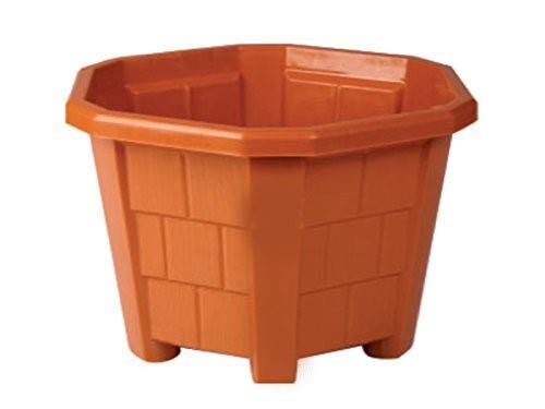 Titox Plastic Planter Pot, Multicolour, 150x230 mm, (Pack of 1) (B0B212W61F) Amazon Price History, Amazon Price Tracker