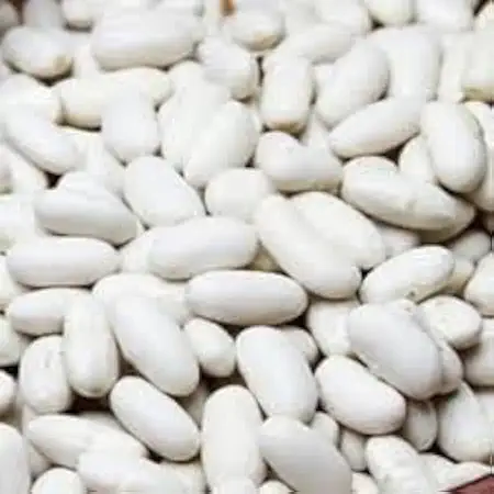 FEIJÃO BRANCO 1KG