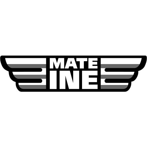 Mate Tee Mateine Caffeine I Ungeröstet, ohne Stängel und nicht pulvrig Tradicional - Starke Mate Tee aus Paraguay I Koffeinhaltiger | Energie und Detox Getränk 500 g I 0,5 Kg