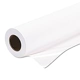 Epson Premium Glossy 16 1/2 Inch x 100 Feet Photo Paper (S042076)