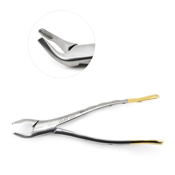 English Extracting Forceps, Upper Molars, Left No. 17