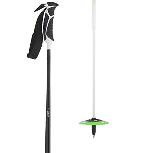Swix Mach II IPM Carbon Composite bâton de ski alpin léger