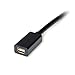 StarTech.com 3ft (1m) DisplayPort to Mini DisplayPort Cable, 4K UHD Video, DP to mDP Adapter (Not compatible w/ Thunderbolt)