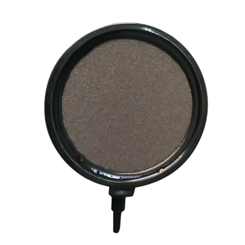 FUTUREORYY p_fv[g oufBXNXg[ ʋCAψfo ϋv ANAEGA[V _fp