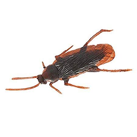 RVM Toys Fake Cockroach Practical Jokes and Prank Trick Toys (Multicolor) - Set of 10 2