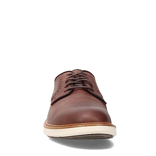 Cole Haan Cole Haan Men's Go-to Plain Toe Oxford, Dark Coffee, 13 Medium