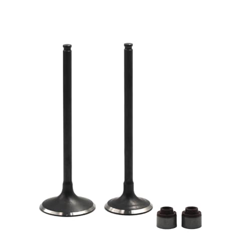 Kit de vástago de admisión 12005-0737 (1 par) para modelos de 250cc 2