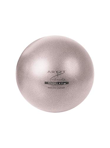 ARTZT vitality Pilatesball Silber, 30 cm ARTZT vitality Pilatesball Silber, 30 cm