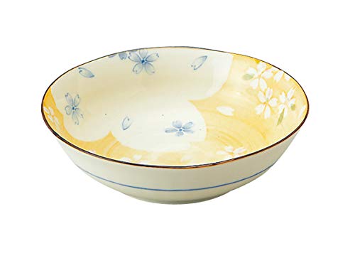 新品　陶器　陶芸作家　煮物鉢10個 400 中鉢 盛り鉢 紀州塗り 盛り器 煮物鉢 煮物皿 7寸 21cm 日本製