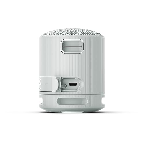 SRS-XB100 - Speaker Wireless Bluetooth, Portatile, Leggero, Compatto, da Esterno, da Viaggio, IP67 Resistente Acqua e Polvere, Batteria da 16 ore, Cinturino Versatile, Chiamate in Vivavoce-Grigio - Casse per PC - Immagine 10
