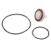WATTS 009M2 1" #1 CHECK RUBBER KIT