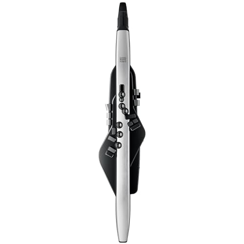 Roland AE-30 Aerophone Pro