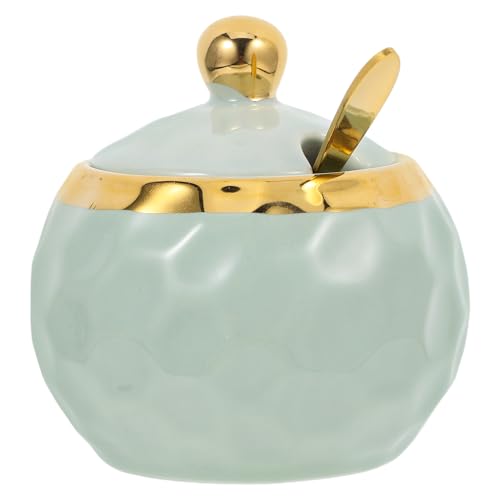 FUNOMOCYA 1 Set Ceramic Seasoning Jar Salt Server with Spoon Porcelain Condiment Jar Condiment Canisters Salt Storage Container Seasoning Containers Sugar Jar Stainless Steel Green