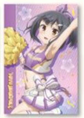プリズマ☆イリヤ Licht名前の無い少女等身大タペストリー チアver イリヤ Fate/kaleid liner プリズマ☆イリヤ Licht 名前の無い少女 等身