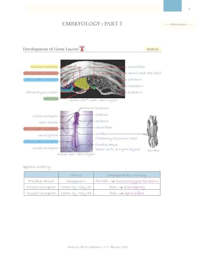 Image of Marrow World of Revision Notes (LATEST-EDITION - 9)(DEC-2025)(COMPLETE-SET 19 SUBJECTS)DIGITAL HD COLOURED PRINTED NOTES WITH SPIRAL BINDING-2026 /2027