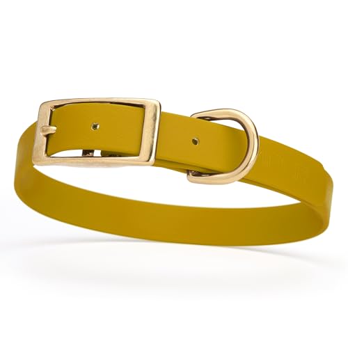 Image of Viper Biothane Heavy Duty Waterproof Dog Collar Strong Coated Nylon Webbing w /Solid Brass Hardware Odor-Proof for Easy Care to Clean High Performance Fits Small Medium or Large Dogs, Treasure Gold