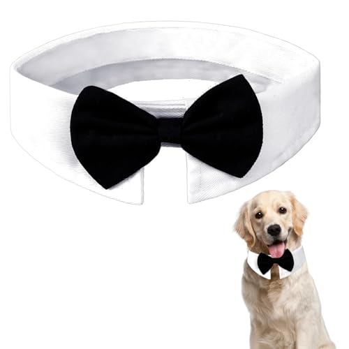 Fliege für Hunde, Hundeanzug Hochzeit Accessoire, Fliege Hund verstellbar, Hunde Fliege für Formelle Anlässe, Hochzeits-Kostüme, Party (L)