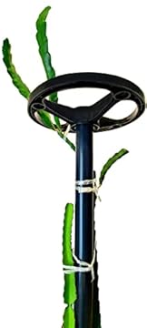 pvc dragon fruit trellis