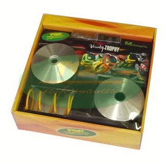 9931650 KIT VARIATORE COMPLETO CON MOLLA DI CONTRASTO COMPATIBILE CON MBK BOOSTER SPIRIT 50 2T 1996 2000 VARIOTOP TPR
