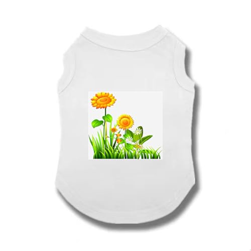 [XANPYO] M ybg ybg ̕ L̕   U o  LOBe ^ tďH TVc  hbOEFA t X|[c ^Ngbv _炩 Eѕی U 