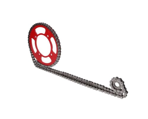 Kettensatz Ketten Kit 11/50 kompatibel für rot BETA RR 50 Motard Supermoto 2T AM6 Moric