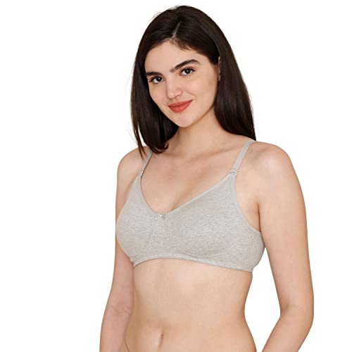 Image of Rosaline Cyber Grove Everyday Double Layered Non Wired 3 /4th Coverage T-Shirt Bra (Pack of 2) for Women - Red Grey