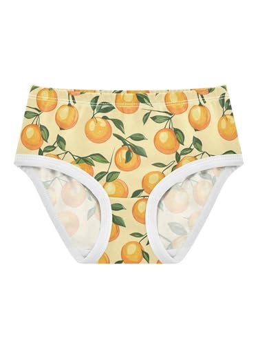 ZZKKO Orange and Leaves Girls Underwear Toddler Panties for Girls Comfort Brief Size 2-8T