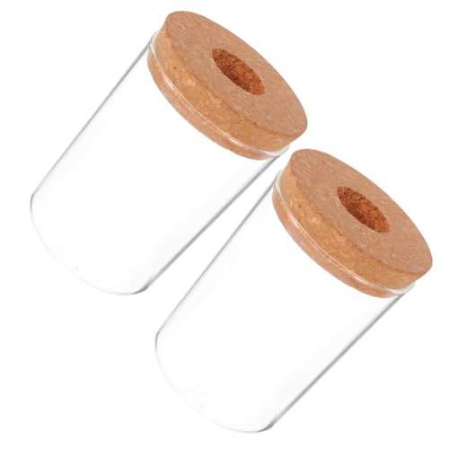 BESTonZON 2 Piezas Jarrón Hidropónico de Vidrio Transparente de Macetas de Escritorio para Plantas de Aire y Suculentas Compacto para Decoración Interior y Oficina