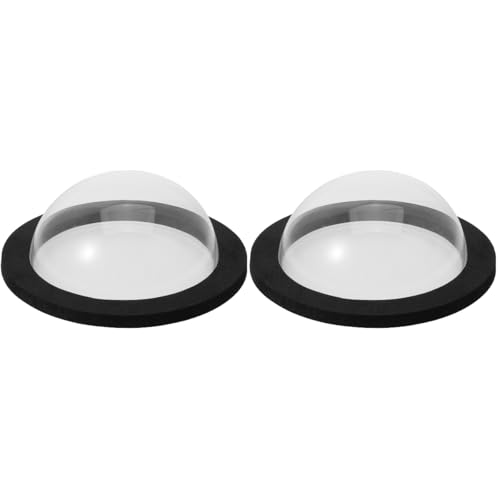 Observation de poissons avec base noire et couvercle transparent - 2