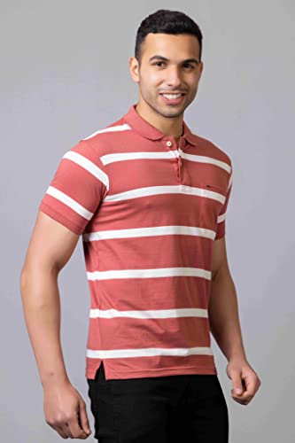 Image of PRORIDERS Half Sleeve Cotton Blend Fabric Collared Regular Fit Men's Polo Striper Tshirt with Pocket for Casual wear