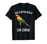 Love Sun Conure Co