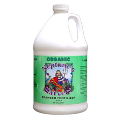 Neptune's Harvest Seaweed Fertilizer Gallon