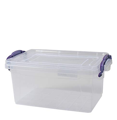 Box mit Deckel und Griffen - 22 Ltr.