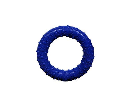PSK PET MART Rubber Round Ring Chew Toy for Dogs, Puppy Teething Toy - Medium - 4.5 Inch,Color - Blue (B08SQ5K31L) Amazon Price History, Amazon Price Tracker