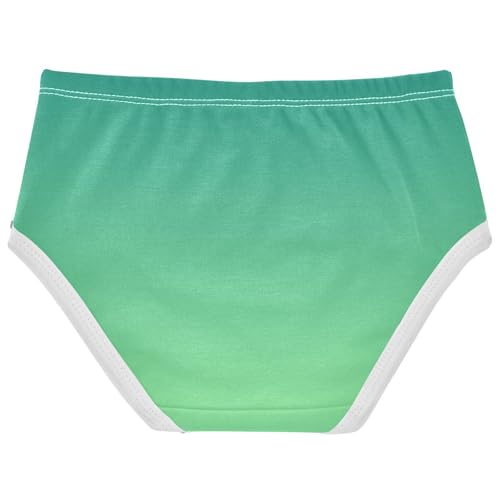 Joisal Cotton Toddlers Underwear Floral Green Pale Gradient Ombre Panties for Girl Aesthetic Kids Undies Briefs 2t2