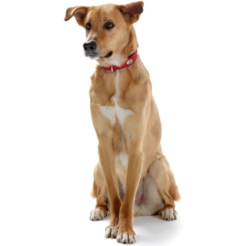 HUNTER SOFTIE STONE Hundehalsband, Kunstleder, mit Applikationen, pflegeleicht, 45 (S-M), rot
