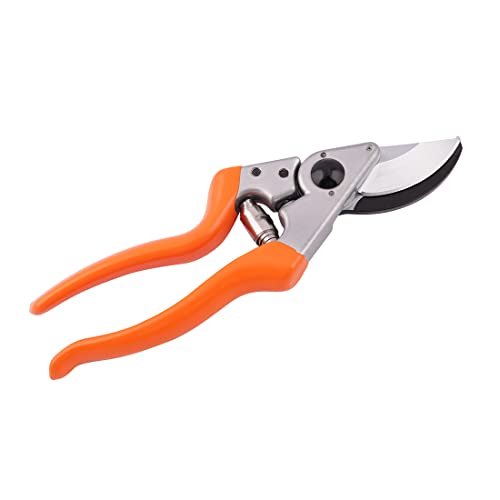 Falcon Pruning Secateur (Multicolour, 225 mm)