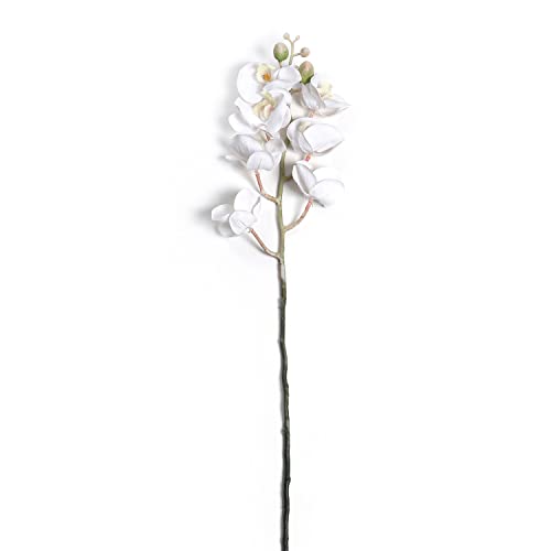 Image of Pure Home and Living Orchid Ivory Stem