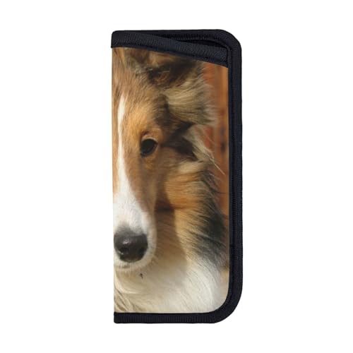 [zhandiffy] VFeB̌ ዾP[X  KlP[X C菝h~ RpNg ߂˃P[X fB[X Y ^т Kl[ jp Aj ObY LN^[