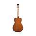 Epiphone Dobro Hound Dog Round Neck Resonator, Vintage Brown