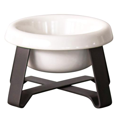 PECOLO FoodStand(S)深型陶器 シャドーグレー (B0CT7ZRRR4) Amazon価格推移・価格追跡