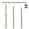 Plant Stakes,18 Inches Natural Garden Bamboo Sticks,BOVITRO 20Pcs Plant Support Stakes for Tomatoes,Beans,Vegetable and Potted Plants #2