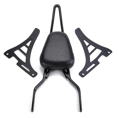 Dossier sissy bar avec porte-bagages rigide pour passager de Harley Sportster XLH883